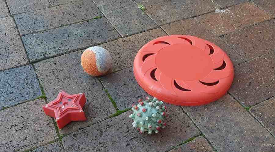 Dog's Toys